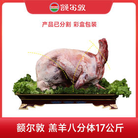 停用额尔敦羔羊17kg  锡林郭勒草原羔羊 全羊八分体