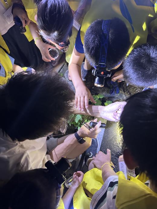 5.23/5.30❗️【夜场夜探】虫虫特工队昆虫探索，了解不同昆虫生活习性，观察、寻找、采集昆虫标本！5岁以上可亲子，可单飞 商品图6