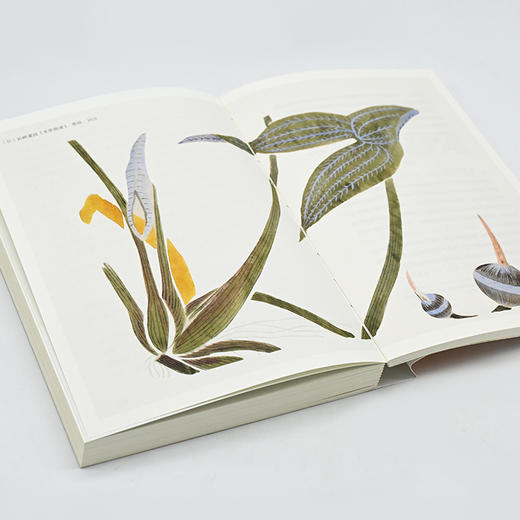 古典植物园、古典植物园2、鲁迅与国学 定制签名本 商品图7