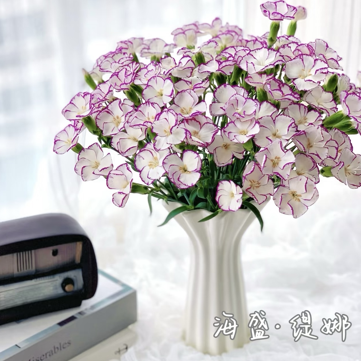 【珐琅胭脂】多头康乃馨-缇娜 5枝  | 新客福利