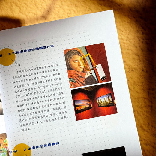 园启班承 构建富有博物意识的幼儿园课程 顶层设计 班本创新 商品图8