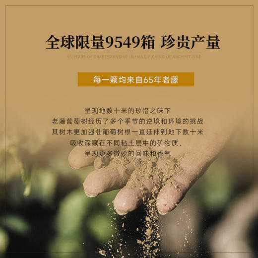 【萨维尼一级园】慕妮思勃艮第一级园干红 荣获四大金奖  24月全新橡木桶陈酿 65年藤木酿造 法国进口 14%vol 商品图7