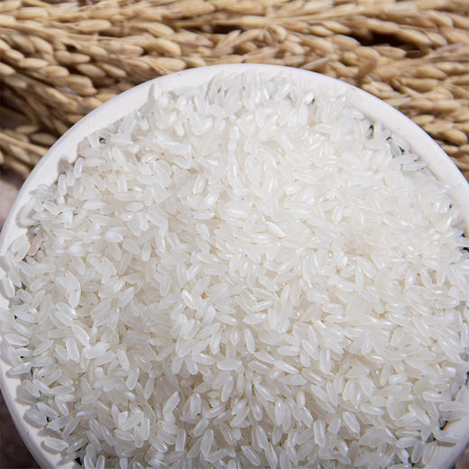 新米种着好米 五常大米 六面双层真空包装 5KG 商品图1