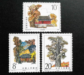 T84《黄帝陵》1983年