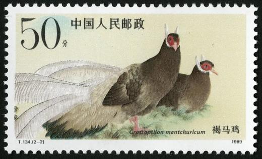 T134《褐马鸡》1989年 商品图2