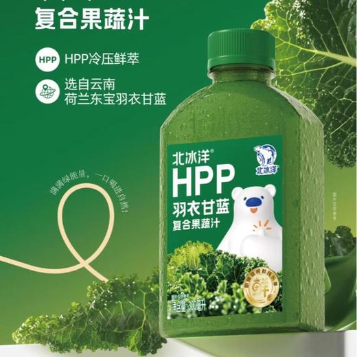 北冰洋HPP羽衣甘蓝300ml 商品图0