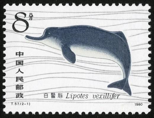 T57《白鱀豚》1980年 商品图1