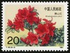 T162《杜鹃花》1981年 商品缩略图3