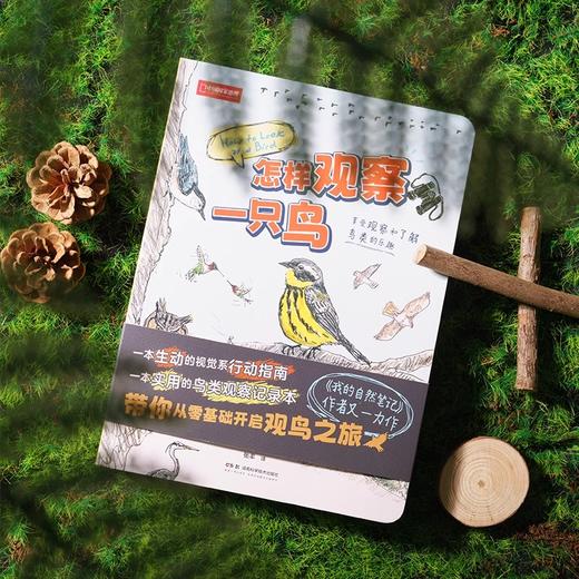 怎样观察一只鸟 克莱尔·沃克·莱斯利新作鸟类观察科普读物 商品图1