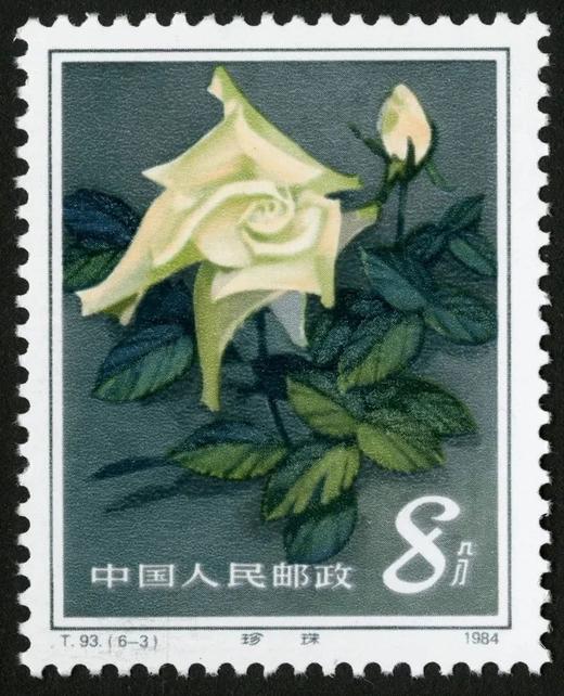 T93《月季花》1984年 商品图3