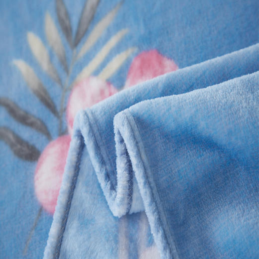 恒源祥 木芙蓉绒毯 180*200cm HYX011MT 商品图2