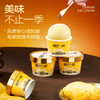50g猫山王榴莲冰淇淋(杯)50%肉款5杯装50g*5 商品缩略图1