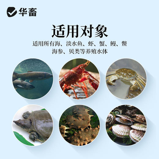 矿源黄腐酸钾20斤去除青苔培水育藻促水草生根改善水色 商品图3