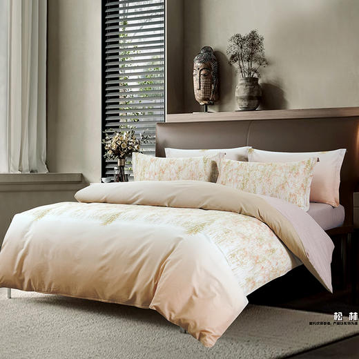 全棉印花四件套 DME6418* 商品图1