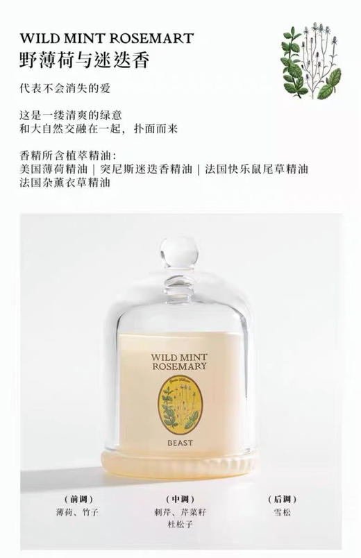 正品野兽派Mini钟罩香薰礼盒
它不仅仅是一个香薰，简直是氛围制造机本机！
家里的小确幸✨让幸福感满屋飘香～

一盒（内含6瓶），天猫498 商品图12