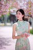 【绿 意】春夏季清新无袖立领旗袍浅绿色底配柔美花卉印花温婉雅致新中式 商品缩略图2