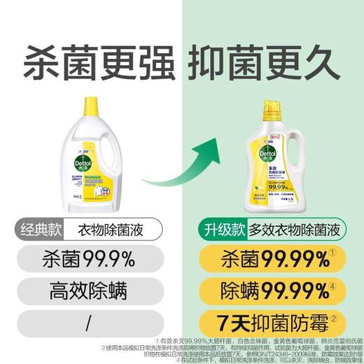 滴露Dettol衣物多效除菌剂2.5L 非洗衣液 除菌除螨99.99% 商品图2