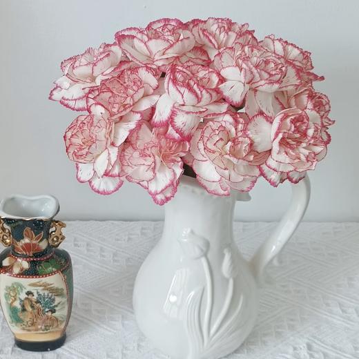 【洛神赋】单头康乃馨-粉色系-伊人 10枝  | 新客福利 商品图0