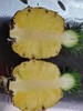 【真的很甜】 芒果凤梨  果肉蜜甜多汁，个大肉厚、香味十足，可以像切西瓜一样切着吃 9甜1酸  近乎纯甜 商品缩略图2