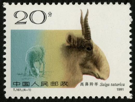 T161《野羊》1991年 商品图1
