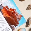 读懂岩石 我们星球的隐藏故事 中国国家地理 科普读物书籍地质学爱好者徒步矿物土壤 商品缩略图2