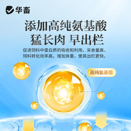 华畜4%生长育肥猪预混料猪肽能长仔猪饲料小猪生长猪催肥育肥饲料 商品图4