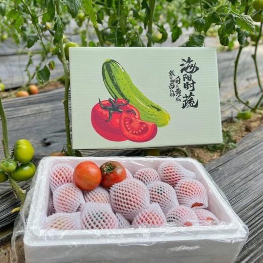 【京东快递】京彩高糖番茄 西红柿极品 春日新宠 现摘现发 每日新鲜 - ANXNY 商品图6