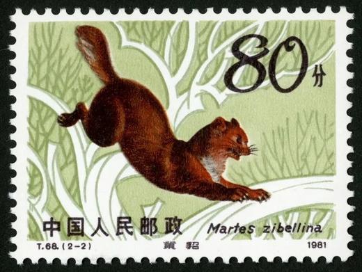 T68《紫貂》1982年 商品图2