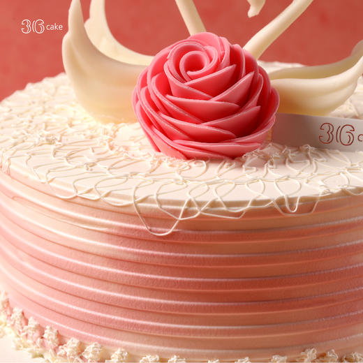 天鹅之恋，可选1.5/2.5/3.5/6磅 商品图2