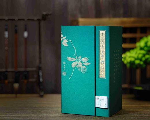 十竹斋书画谱（全16册） [明]胡正言  著  最古老的中国画谱，国画必读 商品图3