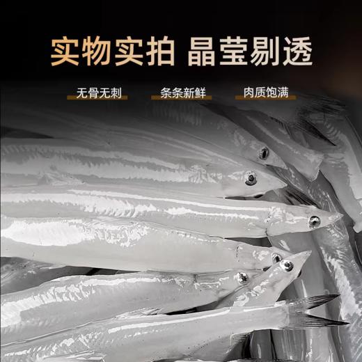 冷冻小银鱼230g*6袋 （含水保鲜每包净重100g） 商品图2
