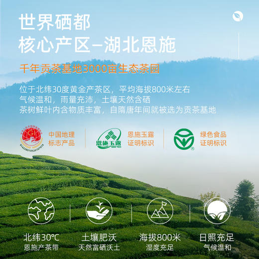 【2026新茶】恩施玉露特级精选头采明前特级精选高山富硒绿茶小袋装商务礼盒150g CM 商品图3