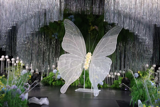 比翼双飞（运费自理） 商品图1