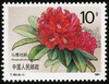T162《杜鹃花》1981年 商品缩略图1