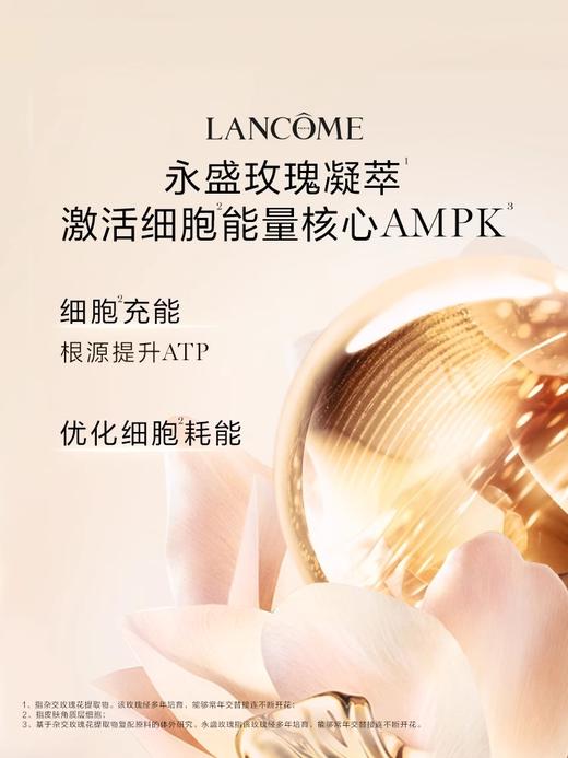 【买20ml送15ml】兰蔻 全新菁纯眼霜 20ml  TCN44535-F 商品图5