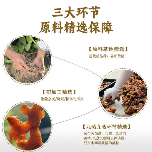 九蒸九晒8年黄精果 柴火汽蒸 阳光暴晒  开袋即食 养出好脾肾 商品图2