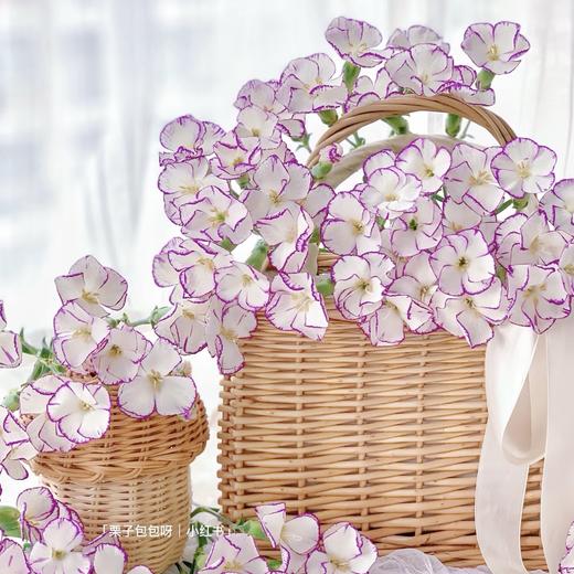 【珐琅胭脂】多头康乃馨-缇娜 5枝  | 新客福利 商品图1