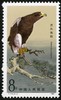 T114《猛禽》1987年 商品缩略图2