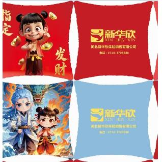 新华欣炫酷抱枕 商品图1