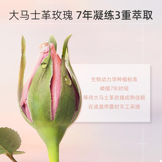 Dr.德国世家博士-玫瑰滋养面霜30ml 商品图3