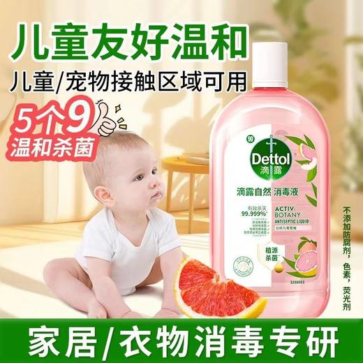 滴露自然消毒液 商品图2