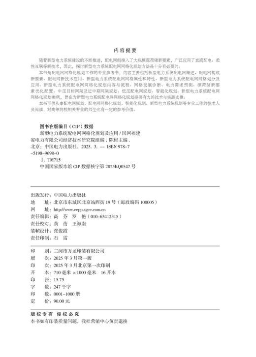 新型电力系统配电网网格化规划及应用 商品图3