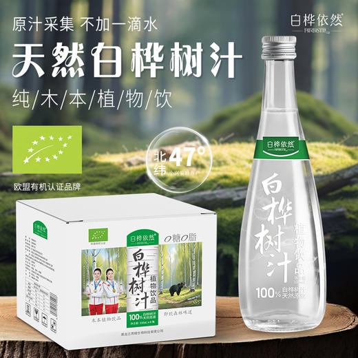 [屁侠推荐]白桦依然白桦树汁植物饮品 330ml*6瓶/箱  商品图4