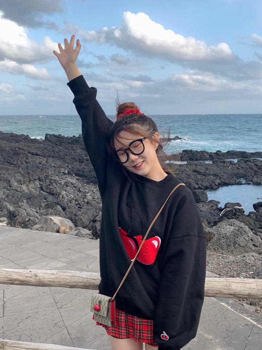 古驰Supreme帆布樱桃迷你手袋（HH） 商品图8