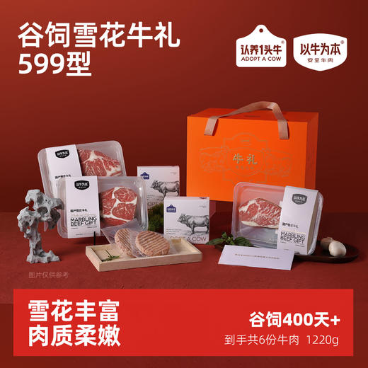 牛肉礼盒599 商品图0