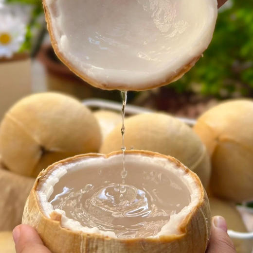 周五送万柳地区！奶香椰皇，汁多，超大果！一组6颗 商品图0