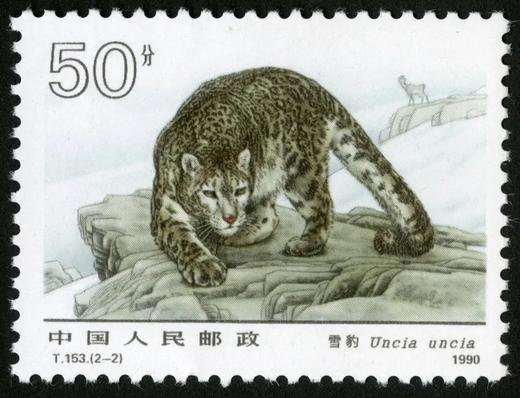 T153《雪豹》1990年 商品图2