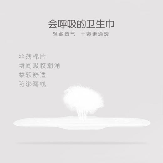 韩国进口李丽安丝薄系列卫生巾 商品图2