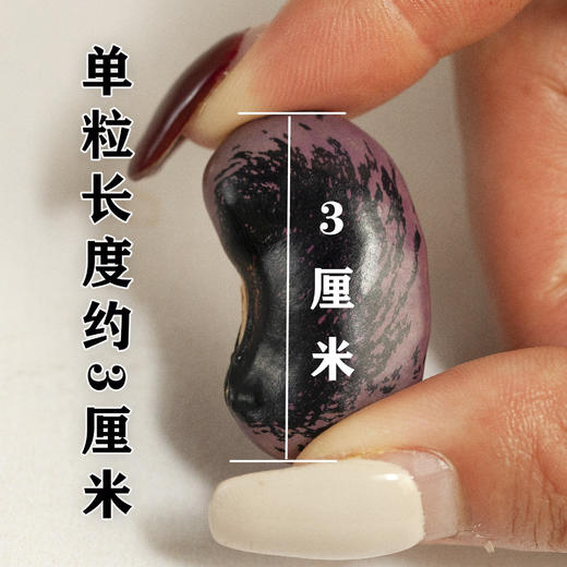 【食品】大黑花芸豆新货大肾豆牛眼豆500g/袋 商品图2