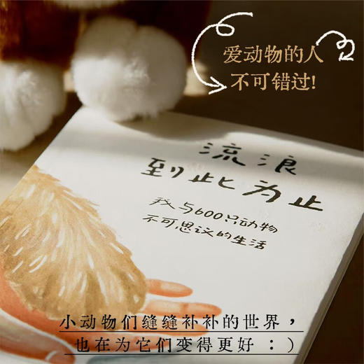 流浪到此为止：我与600只动物不可思议的生活（美）劳丽·扎列斯基 著 家暴中脱逃的母亲 拯救动物 被动物拯救 治愈故事 世界破破烂烂 小动物缝缝补补 女性 励志 成长 动物救助 猫 狗 生命 平等 商品图2